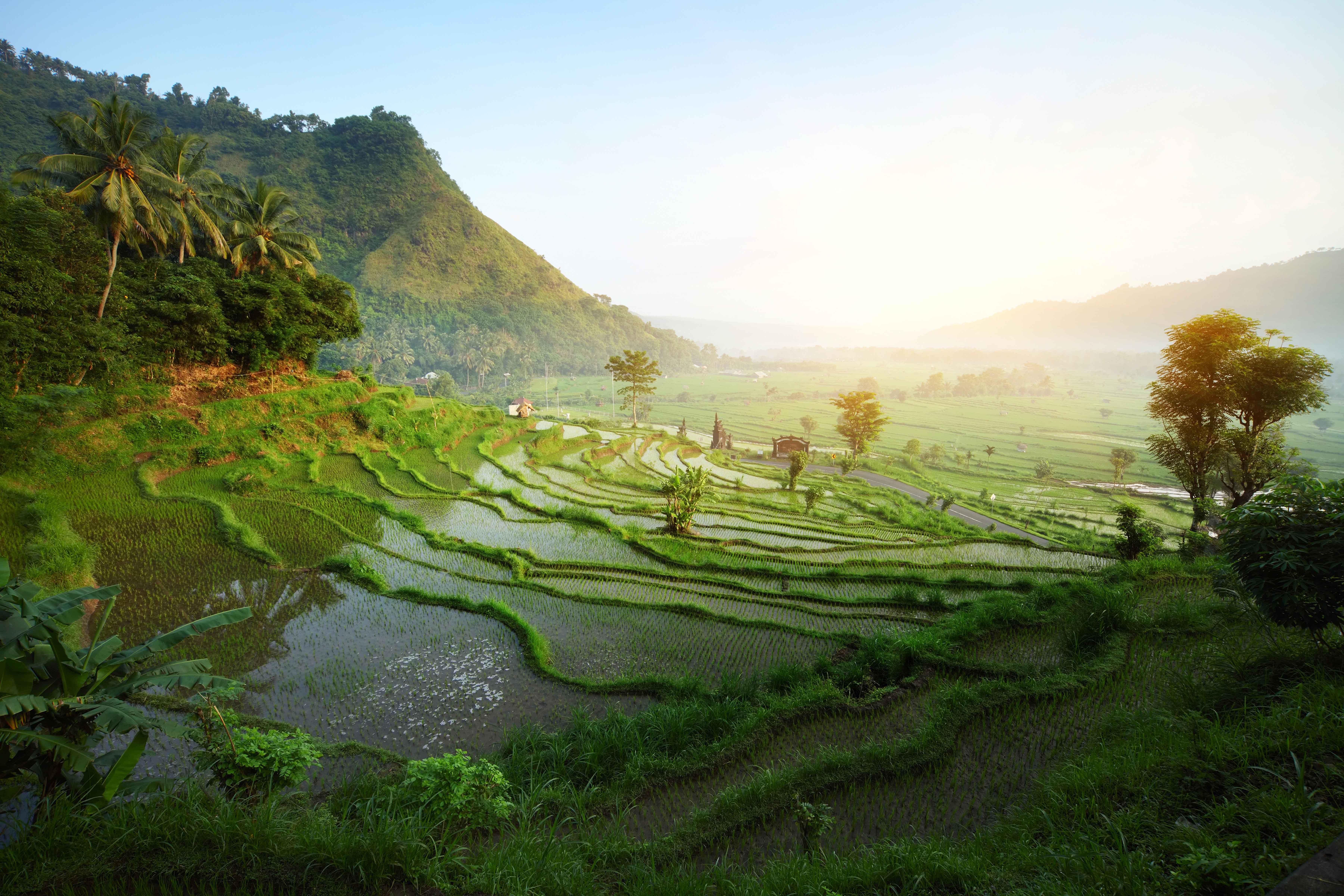 Multi-Day Tours