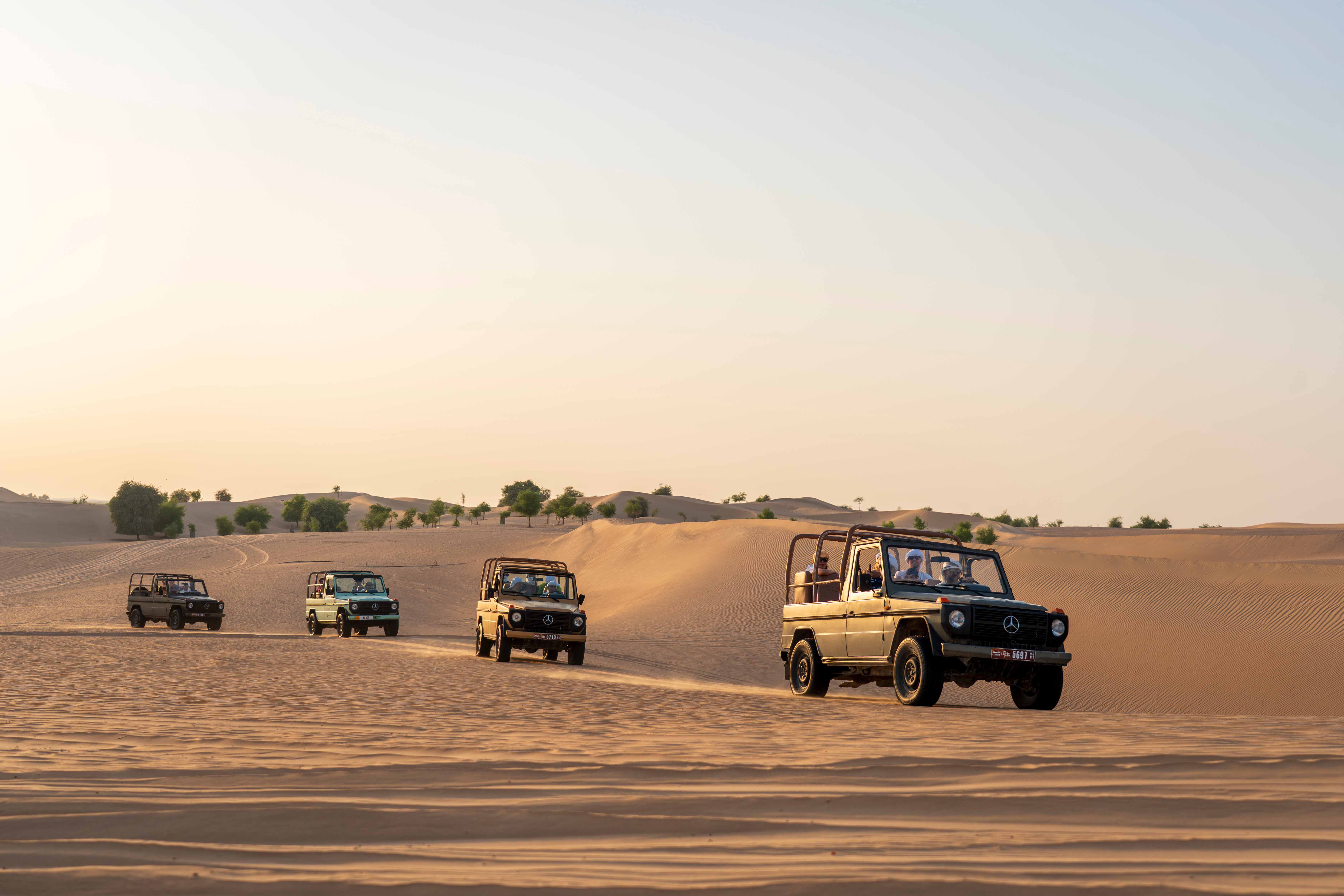 Nature and connection at Al Marmoom Oasis