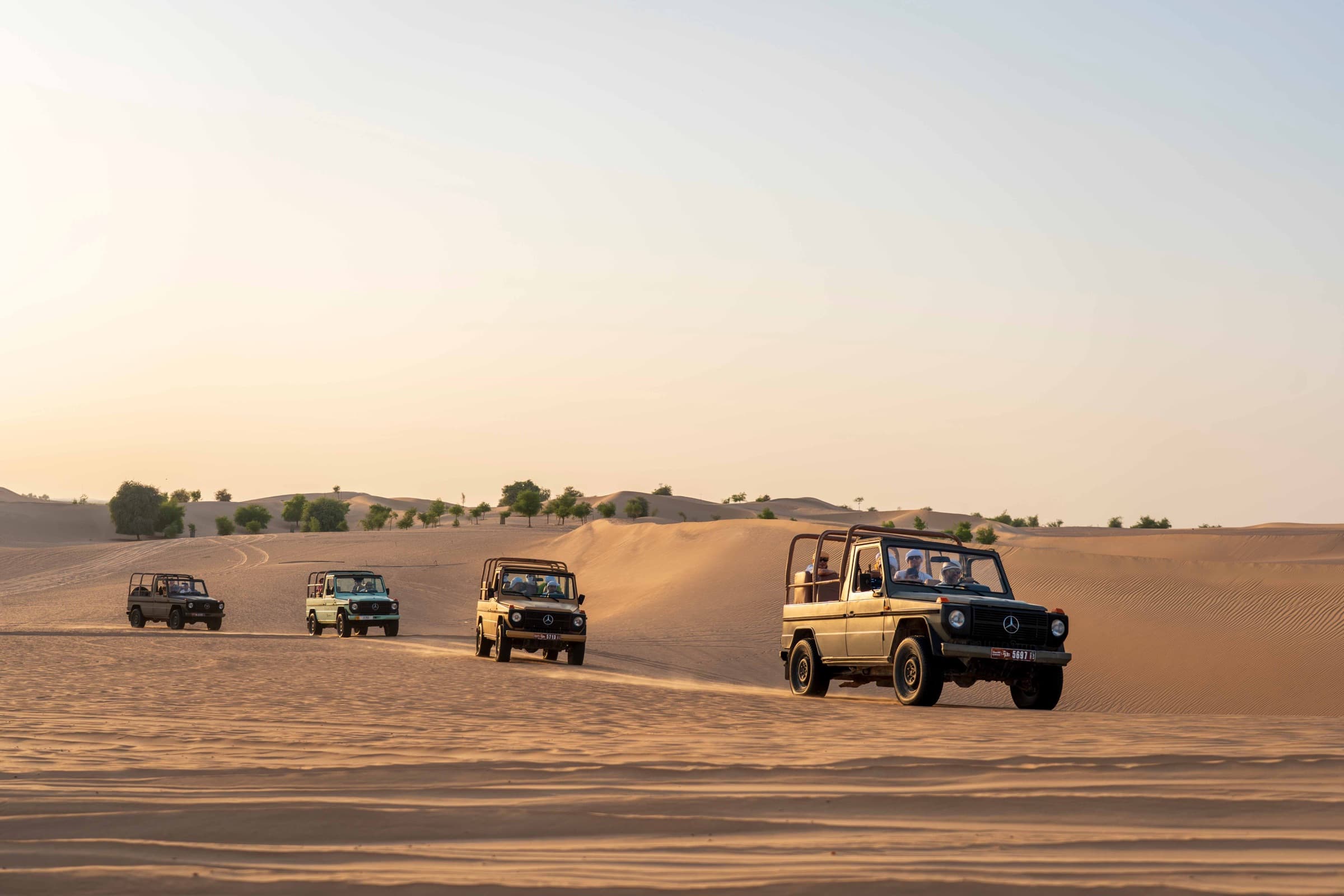 Nature and connection at Al Marmoom Oasis